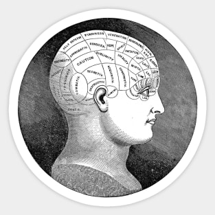 Phrenology Sticker